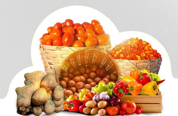 3 Crucial Things to Know Before Your Next Foodstuff Purchase